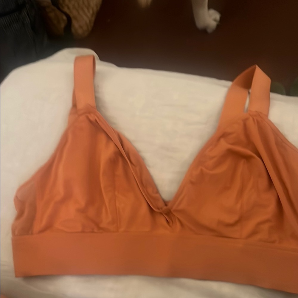 Women's Parade Orange Bralette
